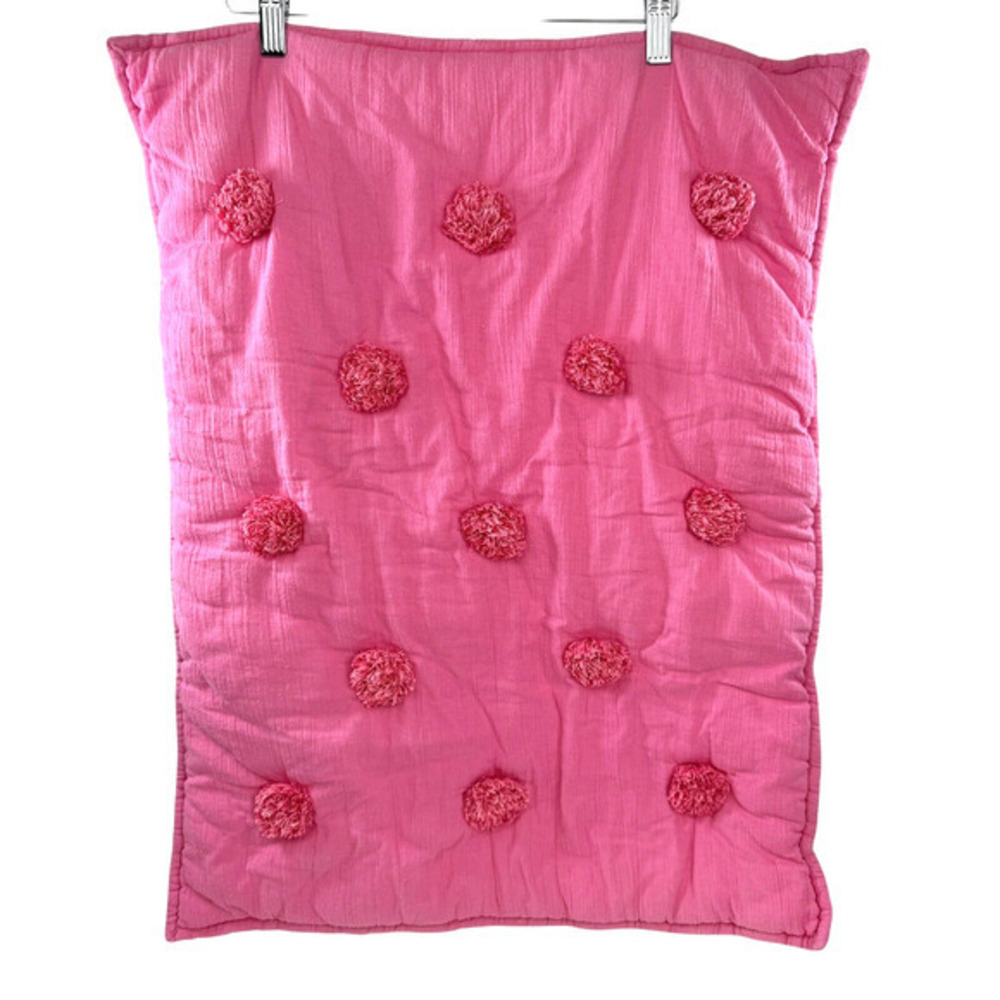 Pottery Barn PB Teen Billie Paisley‎ Quilted Standand Pillow Shams Pink Pom Pom